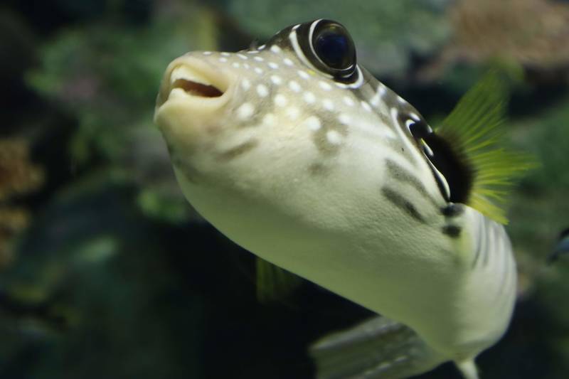 f:id:itsuwalove777:20190215155239j:plain