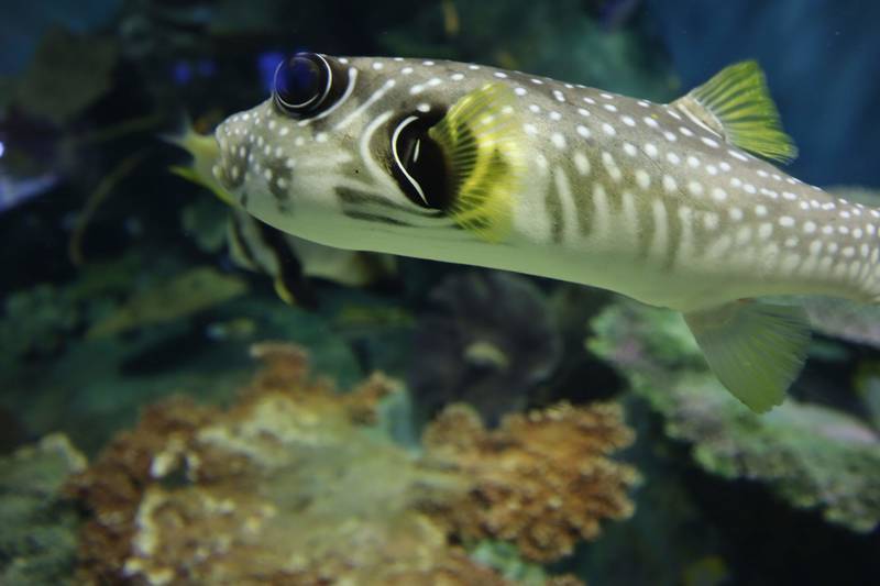 f:id:itsuwalove777:20190215155242j:plain