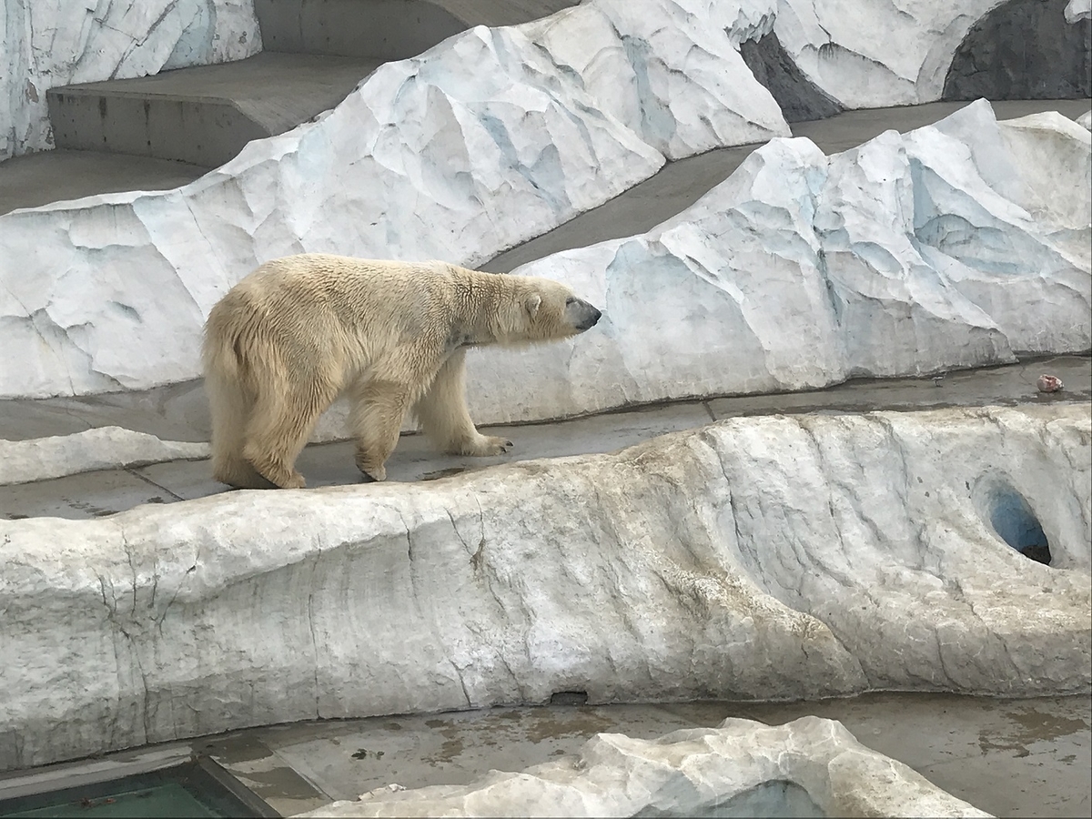 f:id:itsuwalove777:20190626015903j:plain