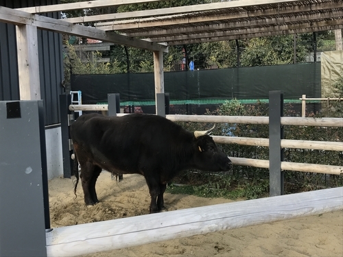 f:id:itsuwalove777:20190715081541j:plain f:id:itsuwalove777:20190715081541j:plain