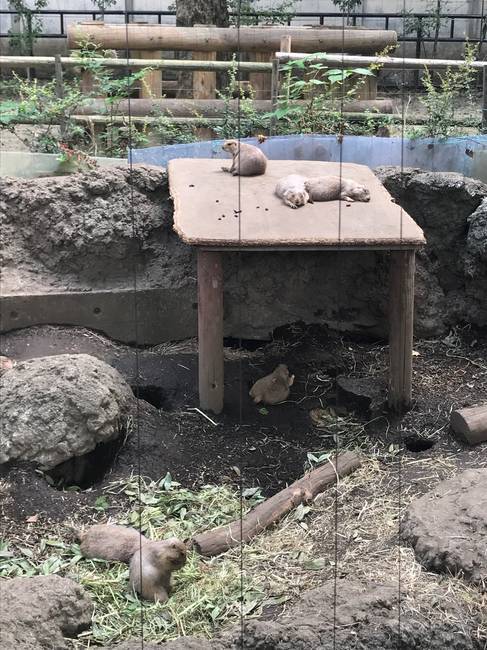 f:id:itsuwalove777:20190831134919j:plain