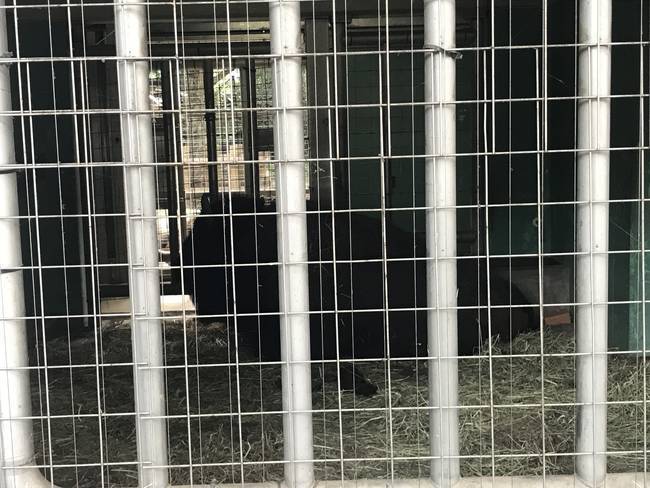 f:id:itsuwalove777:20190831134945j:plain