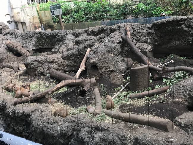 f:id:itsuwalove777:20190831135016j:plain