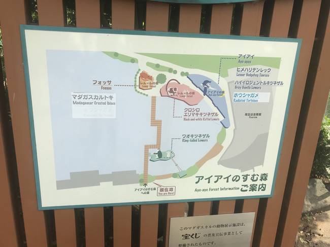 f:id:itsuwalove777:20190901203840j:plain f:id:itsuwalove777:20190901203840j:plain
