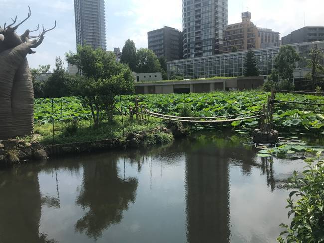 f:id:itsuwalove777:20190901203940j:plain f:id:itsuwalove777:20190901203940j:plain