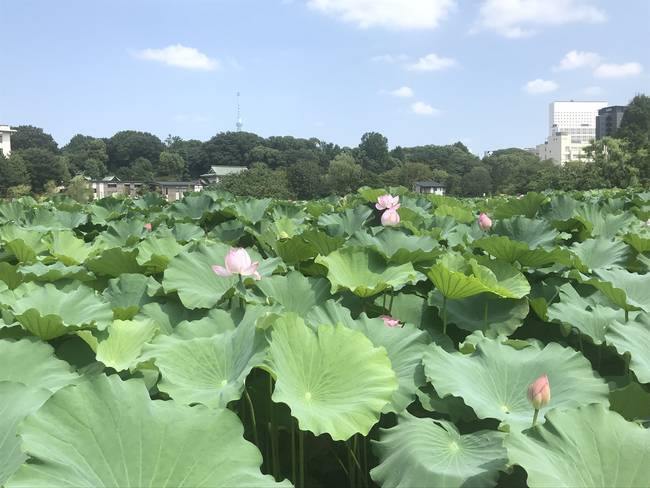 f:id:itsuwalove777:20190919023418j:plain f:id:itsuwalove777:20190919023418j:plain