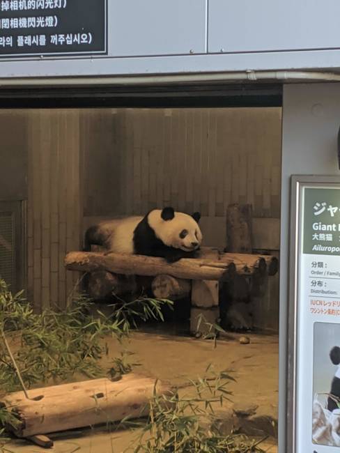 f:id:itsuwalove777:20190924213403j:plain f:id:itsuwalove777:20190924213403j:plain