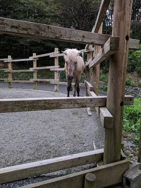 f:id:itsuwalove777:20191005145153j:plain