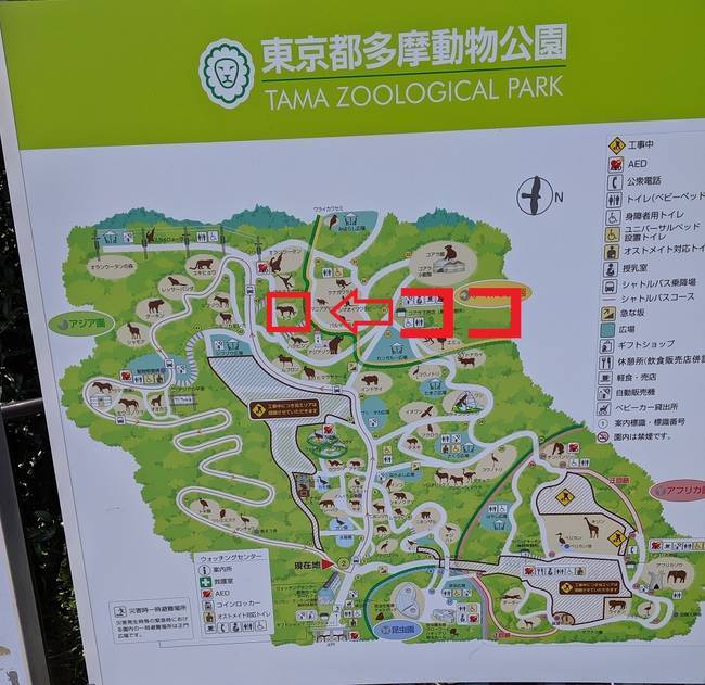 f:id:itsuwalove777:20191006185843j:plain