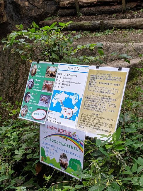 f:id:itsuwalove777:20191008222911j:plain f:id:itsuwalove777:20191008222911j:plain