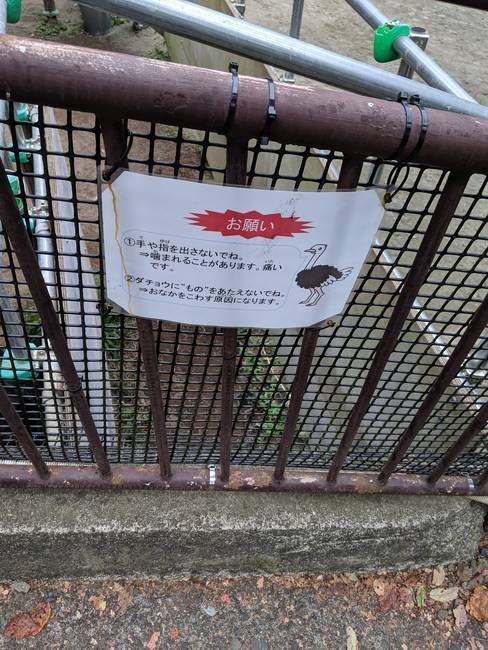 f:id:itsuwalove777:20191011224651j:plain