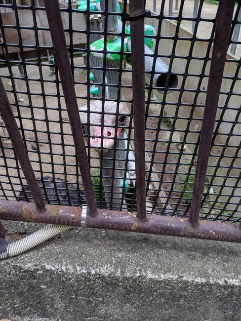 f:id:itsuwalove777:20191011224801j:plain