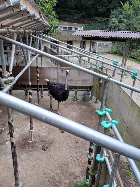 f:id:itsuwalove777:20191011224959j:plain