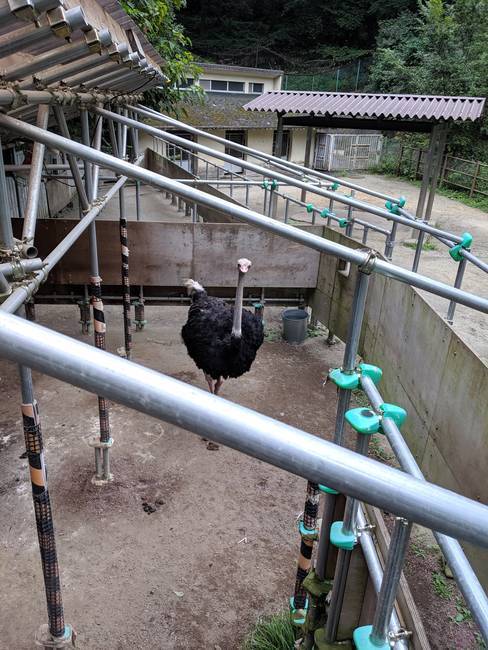 f:id:itsuwalove777:20191011225022j:plain