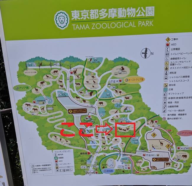 f:id:itsuwalove777:20191011225113j:plain