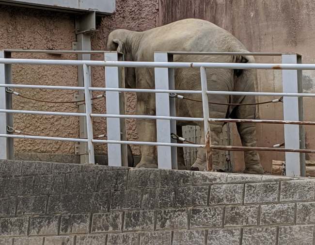 f:id:itsuwalove777:20191013194415j:plain