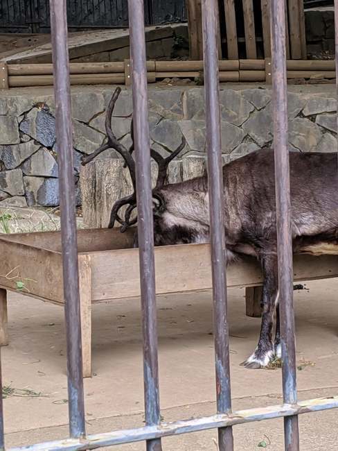 f:id:itsuwalove777:20191013195108j:plain