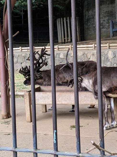 f:id:itsuwalove777:20191013195122j:plain