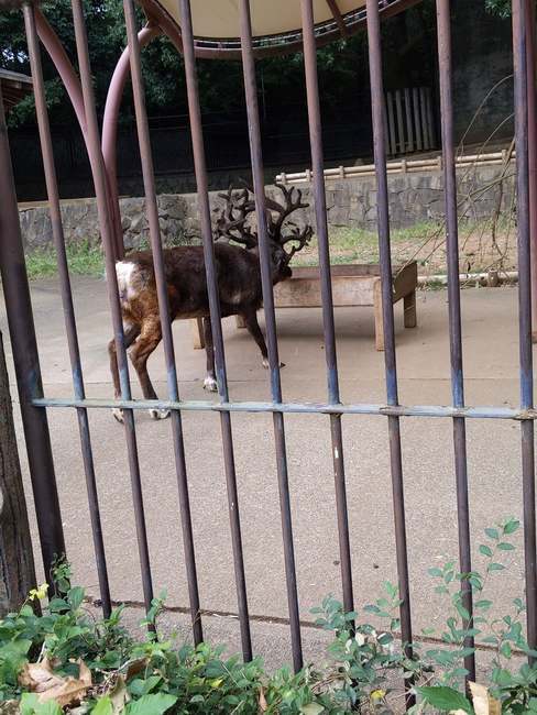 f:id:itsuwalove777:20191013195203j:plain