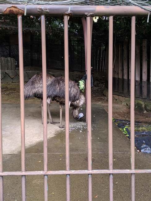 f:id:itsuwalove777:20191013195346j:plain