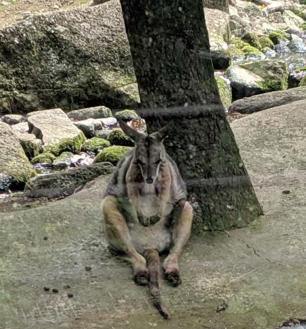 f:id:itsuwalove777:20191014001851j:plain f:id:itsuwalove777:20191014001851j:plain