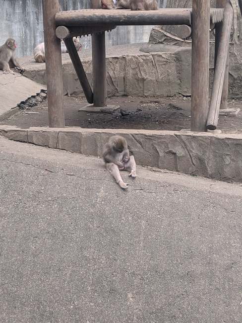 f:id:itsuwalove777:20191014002308j:plain
