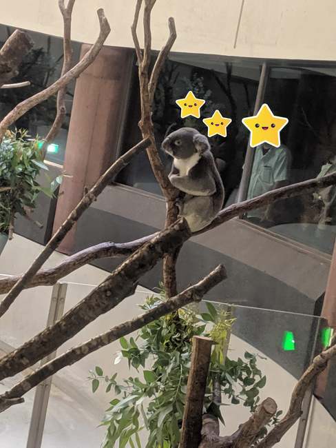 f:id:itsuwalove777:20191014014459j:plain f:id:itsuwalove777:20191014014459j:plain