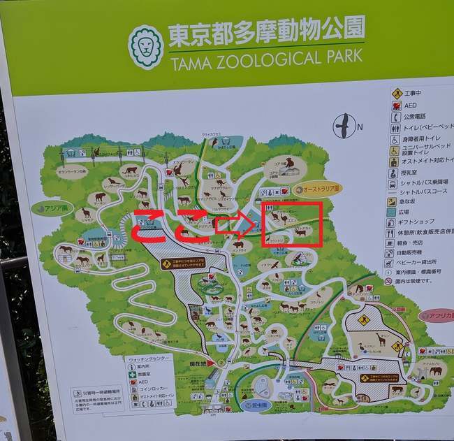 f:id:itsuwalove777:20191014140055j:plain