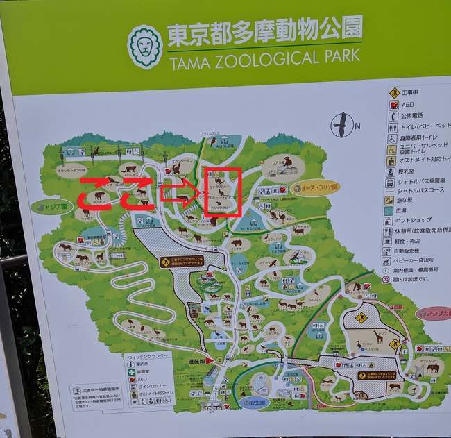 f:id:itsuwalove777:20191014163704j:plain