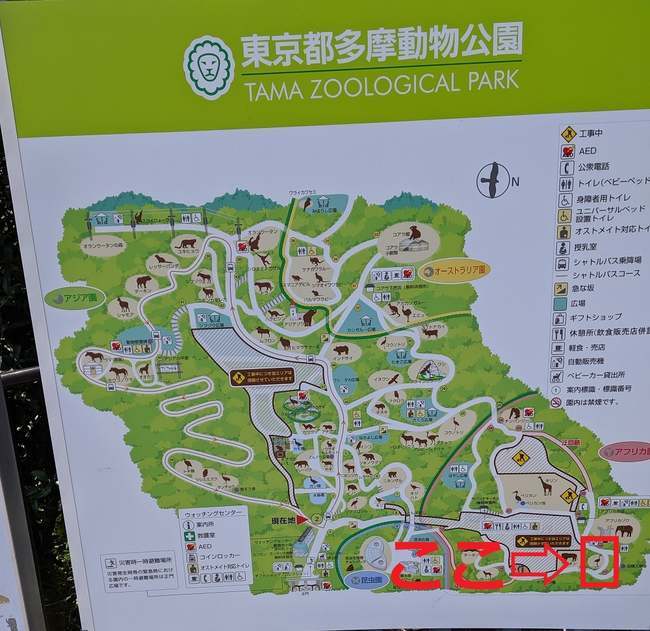 f:id:itsuwalove777:20191014183142j:plain