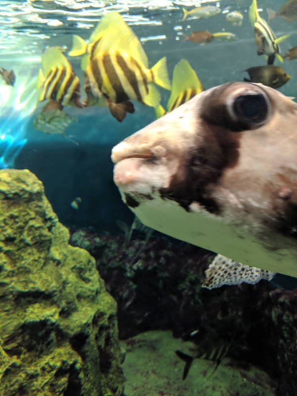 f:id:itsuwalove777:20191015132521j:plain