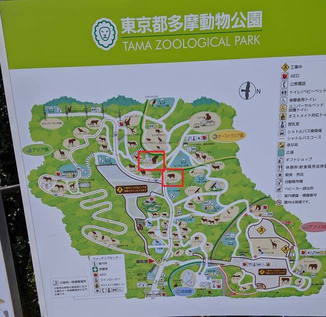 f:id:itsuwalove777:20191015220128j:plain