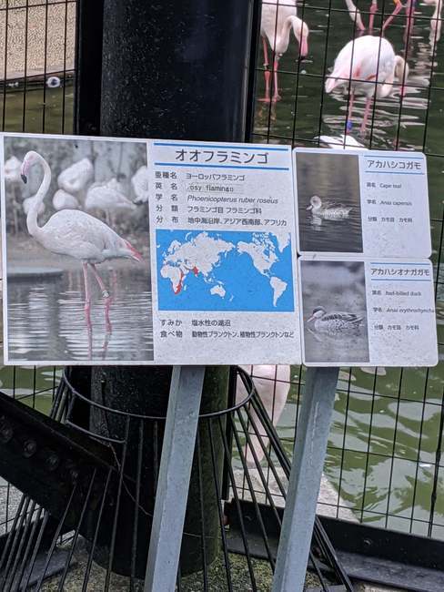 f:id:itsuwalove777:20191015233022j:plain f:id:itsuwalove777:20191015233022j:plain