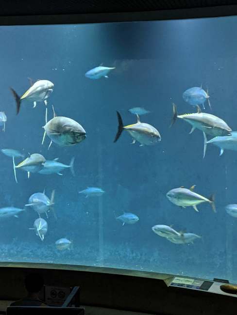 f:id:itsuwalove777:20191017000947j:plain f:id:itsuwalove777:20191017000947j:plain