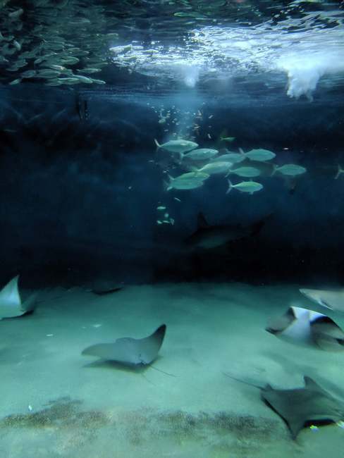 f:id:itsuwalove777:20191017003029j:plain