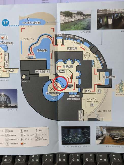 f:id:itsuwalove777:20191019011125j:plain f:id:itsuwalove777:20191019011125j:plain