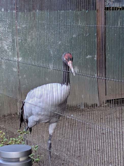 f:id:itsuwalove777:20191021212556j:plain