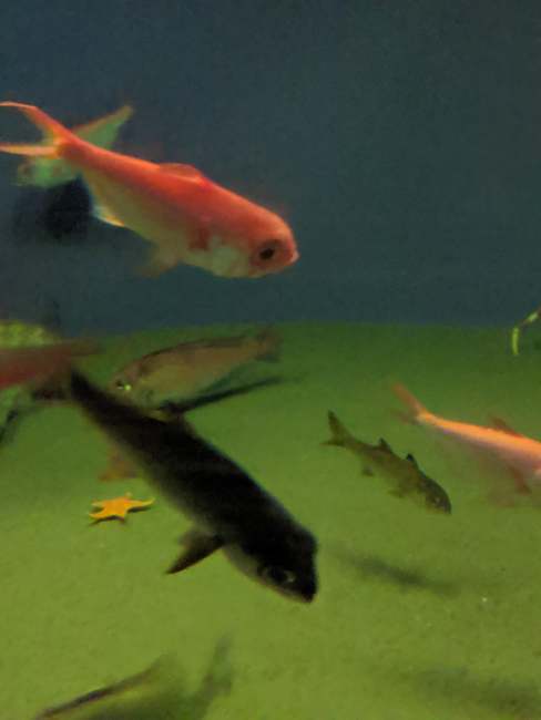 f:id:itsuwalove777:20191023024857j:plain