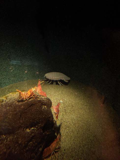 f:id:itsuwalove777:20191023025522j:plain