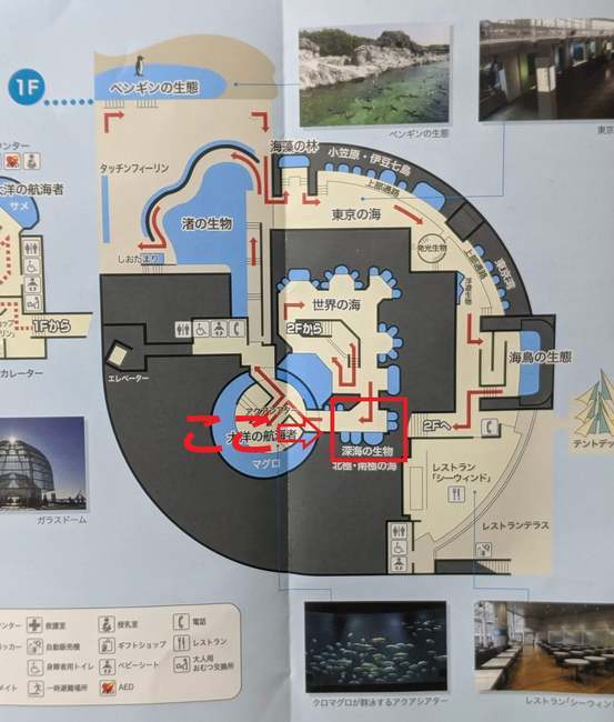 f:id:itsuwalove777:20191026013941j:plain