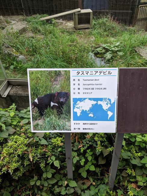 f:id:itsuwalove777:20191112000717j:plain f:id:itsuwalove777:20191112000717j:plain