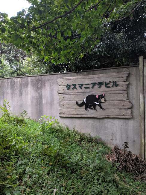f:id:itsuwalove777:20191112000755j:plain f:id:itsuwalove777:20191112000755j:plain