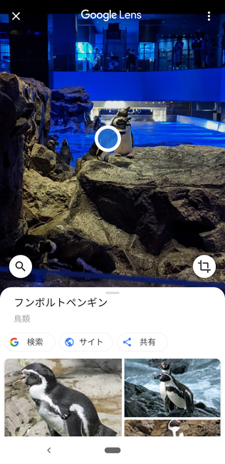 f:id:itsuwalove777:20191207130553p:plain f:id:itsuwalove777:20191207130553p:plain