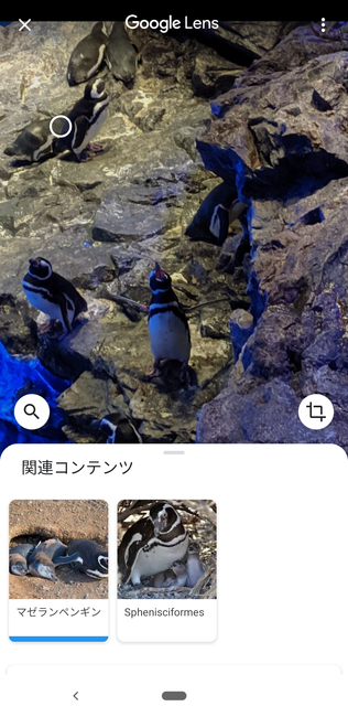 f:id:itsuwalove777:20191207130643p:plain f:id:itsuwalove777:20191207130643p:plain