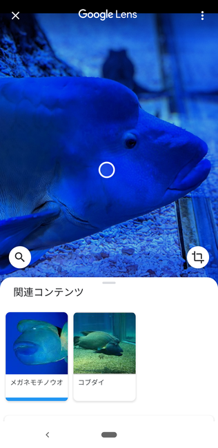 f:id:itsuwalove777:20191207130723p:plain f:id:itsuwalove777:20191207130723p:plain