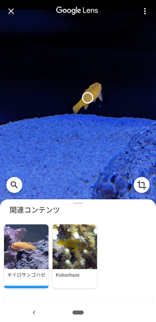 f:id:itsuwalove777:20191207130756p:plain f:id:itsuwalove777:20191207130756p:plain
