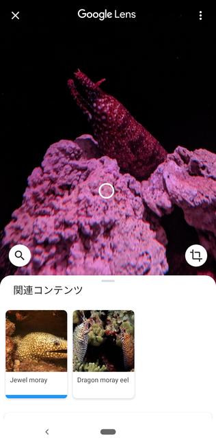 f:id:itsuwalove777:20191207130831p:plain f:id:itsuwalove777:20191207130831p:plain