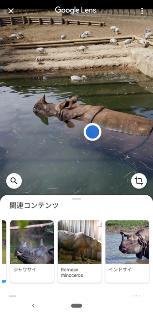 f:id:itsuwalove777:20191208134130p:plain f:id:itsuwalove777:20191208134130p:plain