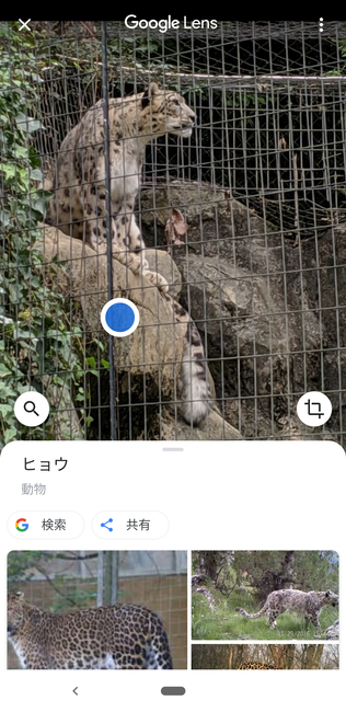f:id:itsuwalove777:20191208134214p:plain f:id:itsuwalove777:20191208134214p:plain