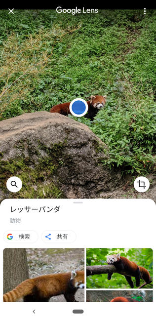 f:id:itsuwalove777:20191208134304p:plain f:id:itsuwalove777:20191208134304p:plain